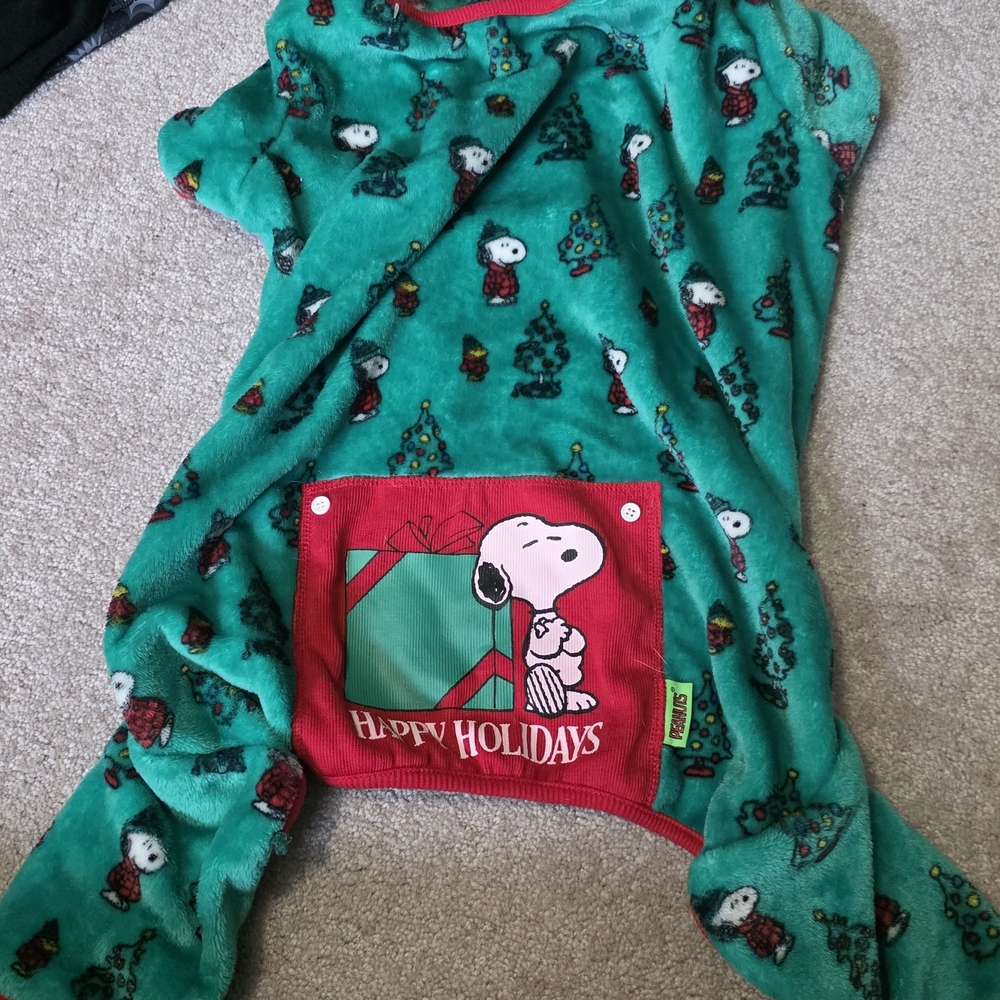 Peanuts Green and Red Snoopy Dog Sweater